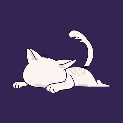 Starship starts the engine